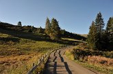 002 Alpe di Siusi